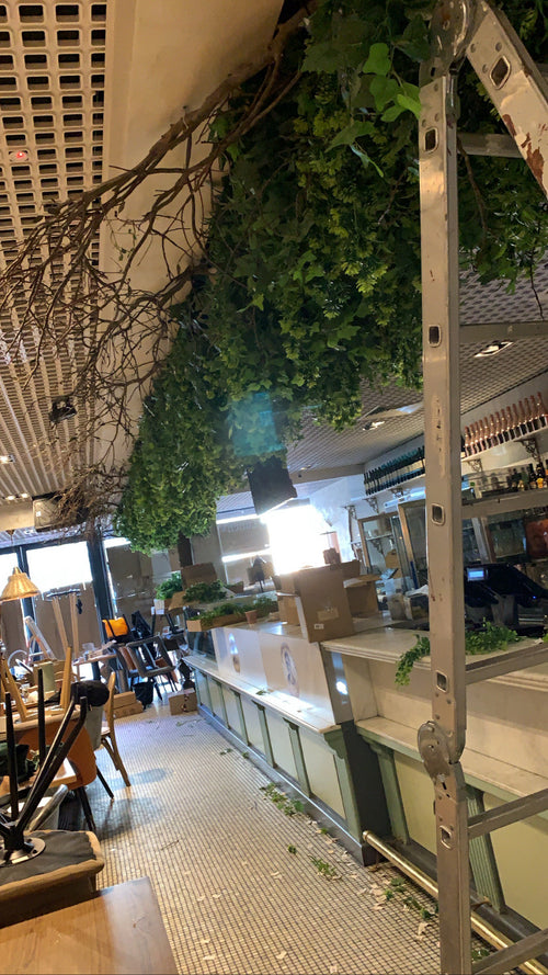 Faux Plants Decor Installations for Businesses